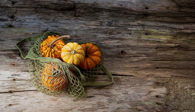 Pumpkins in alternative packaging string bag on a wooden background top view