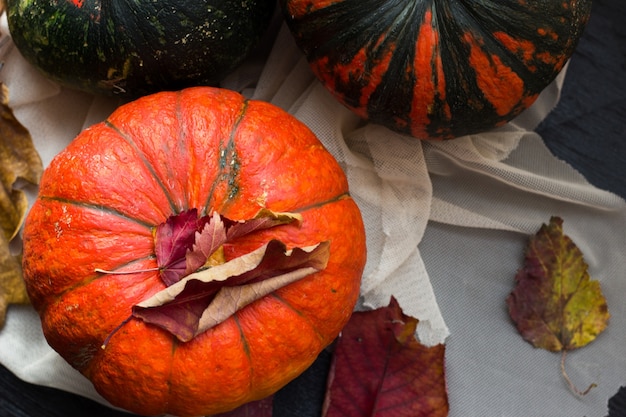 pumpkins in autumn foliage on a light surface