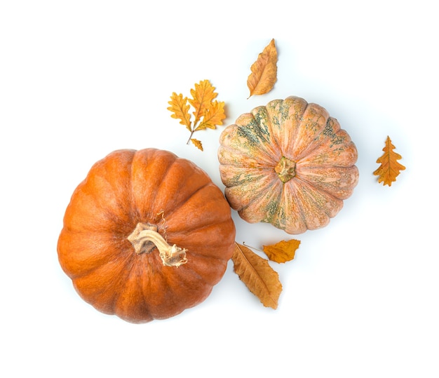 Pumpkins and autumn foliage on a white background. Top view.