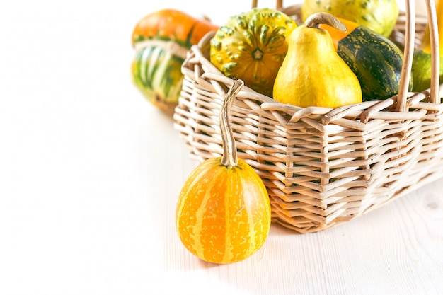 Pumpkins in basket 