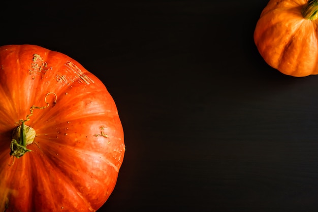 Pumpkins on a black background