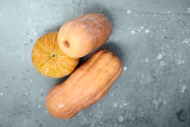 Pumpkins and butternut squashes on grey concrete surface