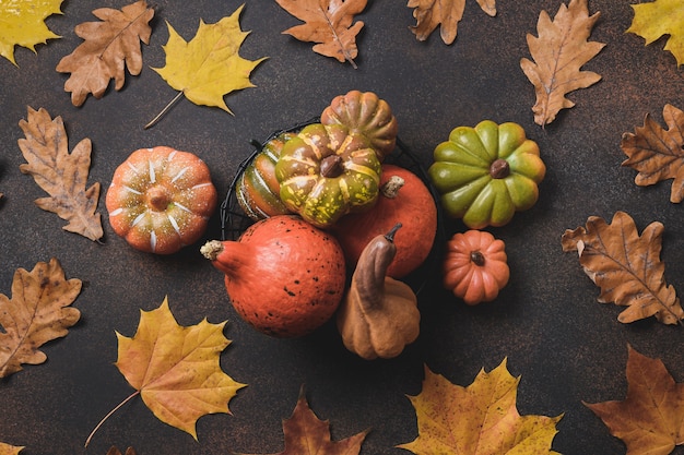 Pumpkins and colorful fall leaves on brown background