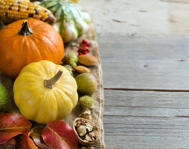 Pumpkins, corn cob, wheat spikes, nuts, acorns, leaves and berries on wooden table close up with copy space