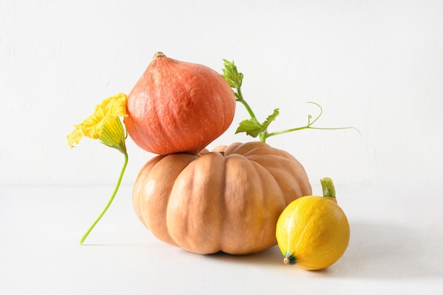 Pumpkins for Halloween or Thanksgiving Day of different shapes in balance composition on white background