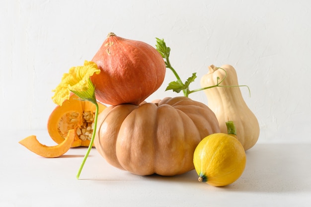 Pumpkins for halloween or thanksgiving day of different shapes in balance composition on white