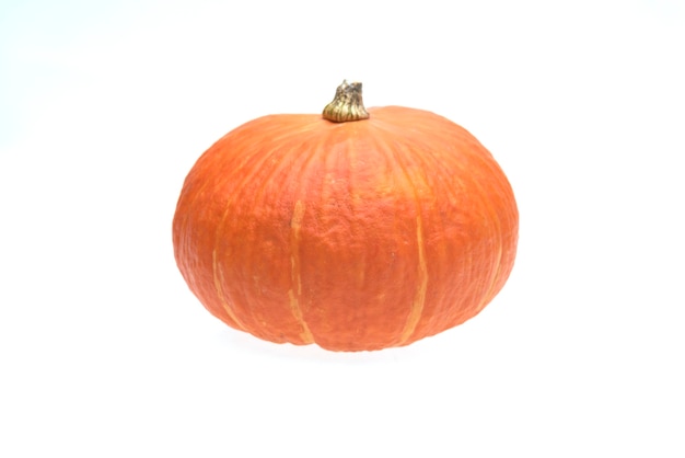 pumpkins isolated on white background