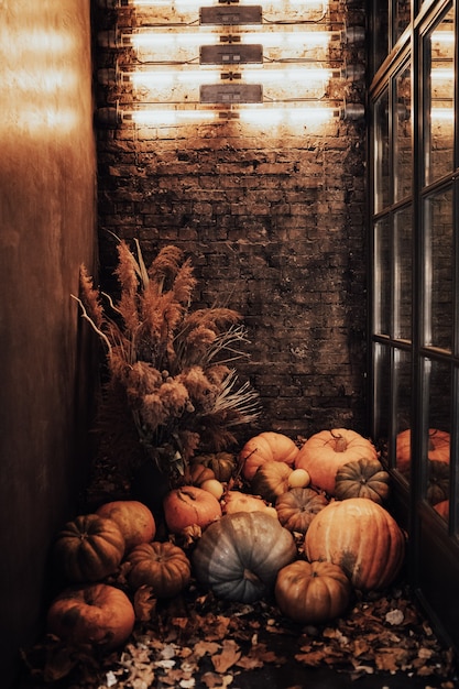 pumpkins near the wall