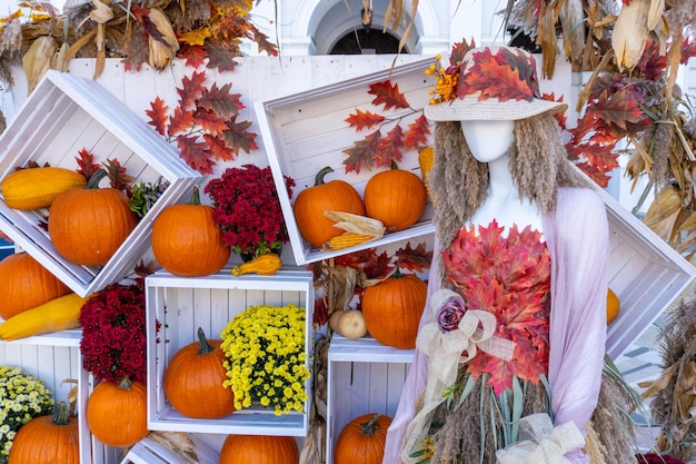 Pumpkins October Halloween Autumn Decoration and Flowers