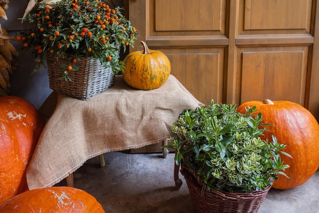 Pumpkins red berries and autumn flowers decoration in baskets on porch