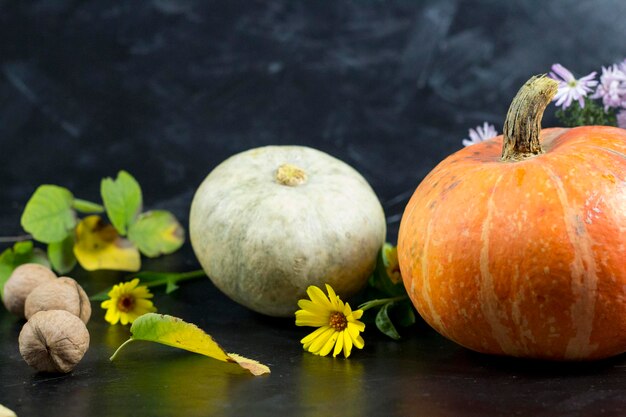 Pumpkins ripened against the background of flowers and dry leaves and nuts