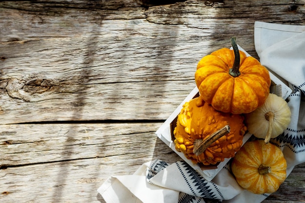 Pumpkins on a rustic napkin on a wooden background closeup top view