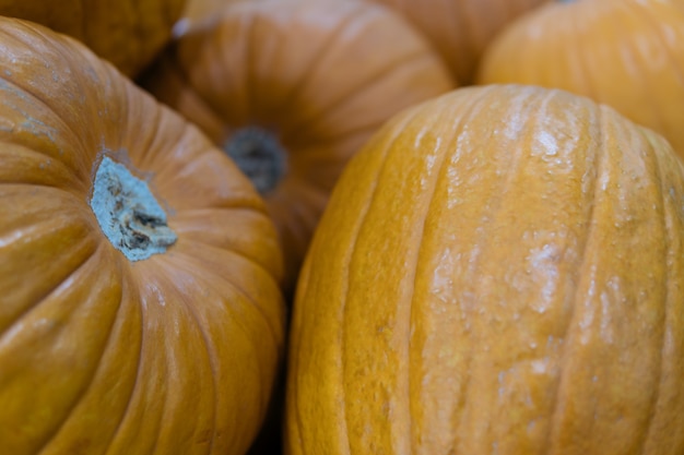 Pumpkins for sale in the market.