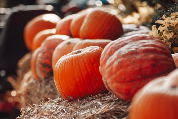 Pumpkins for sale at an outdoor market in autumn season