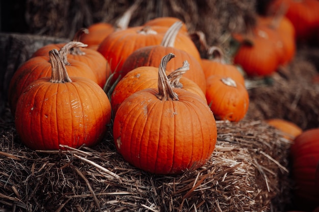 Pumpkins for sale at an outdoor market in autumn season