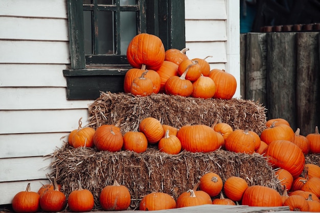 Pumpkins for sale at an outdoor market in autumn season