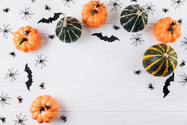  Pumpkins, spiders and bats on white wooden