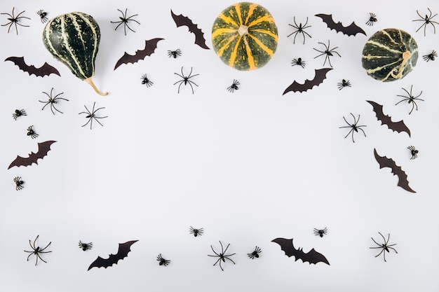  Pumpkins, spiders and bats on white