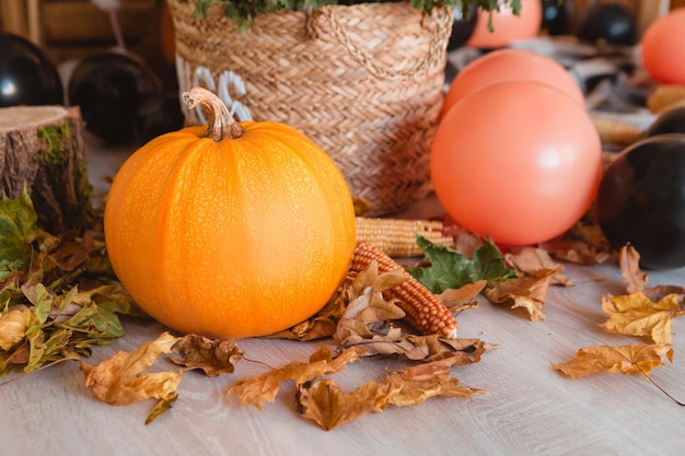 Pumpkins with fall leaves and orange balloons, plaid, corn on the floor. Halloween and horror concep