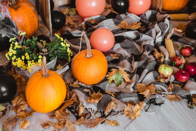 Pumpkins with fall leaves and orange balloons, plaid, corn on the floor