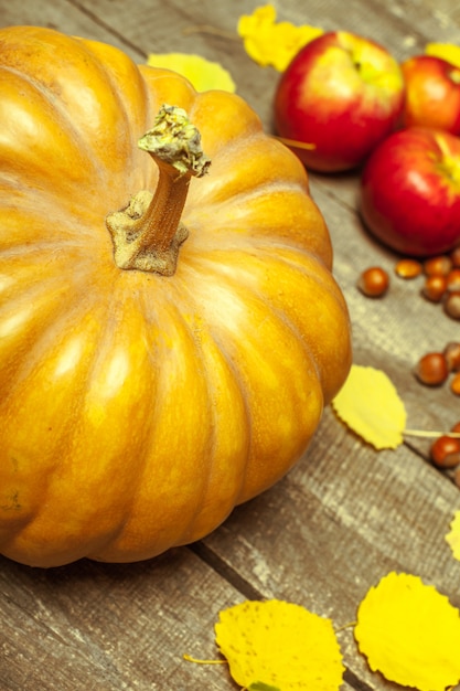 Pumpkins on wooden surface board