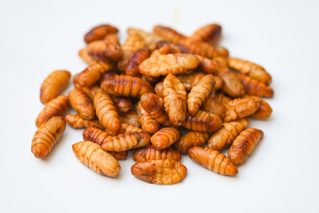 Pupa on gray background fry silk worms fried pupa for food beetle worm