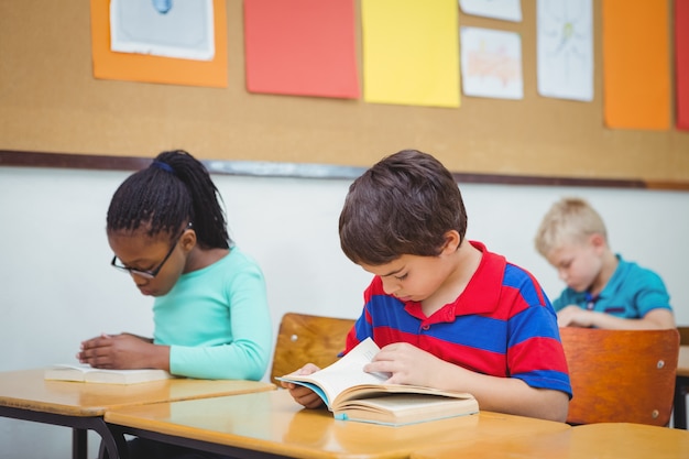 Pupil reading a school book