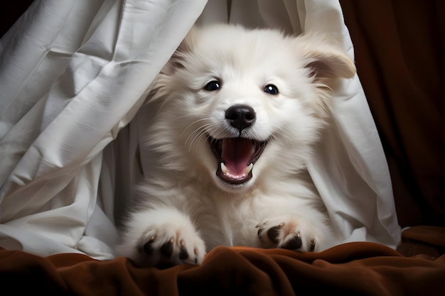 A Puppy Biting A Furry Fabric