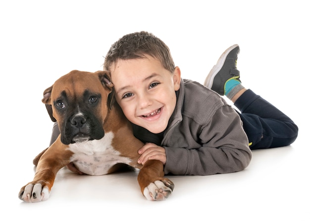 puppy boxer and boy