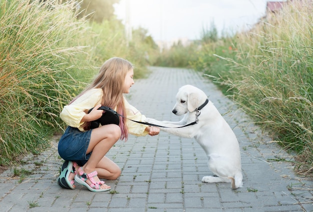 Puppy labrador retriever and little girl Little girl playing with golden retriever