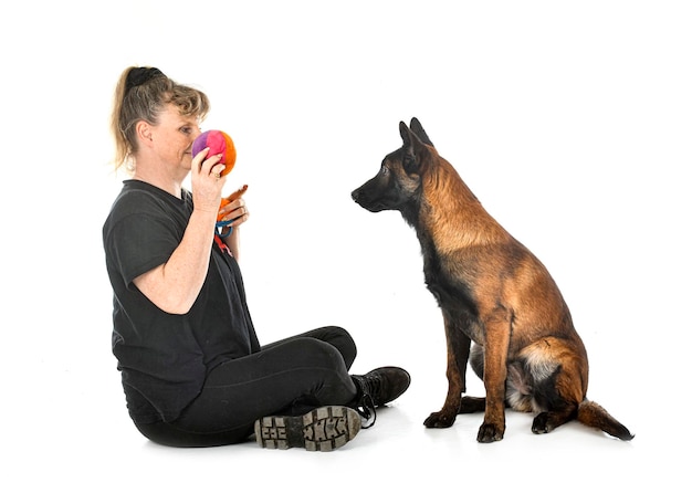 Puppy malinois and woman