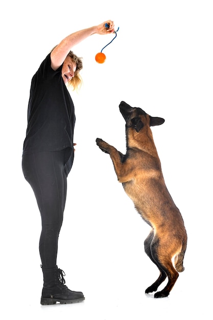 Puppy malinois and woman