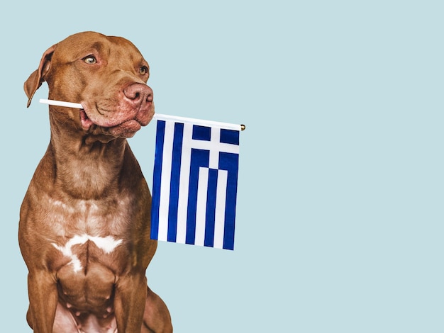 Puppy with the national Flag of Greece