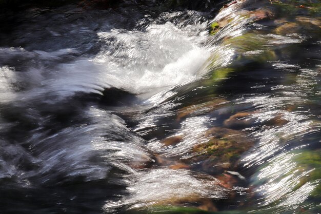 Photo pure spring water in the stream