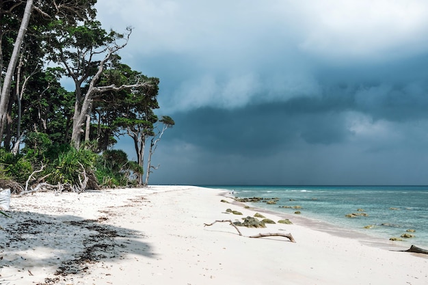 Pure white sand on an exotic beach