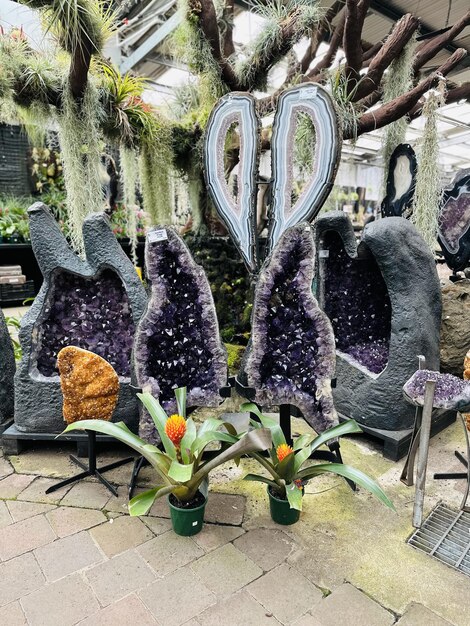 Purple amethyst chairs sit in a garden with a plant in the middle.