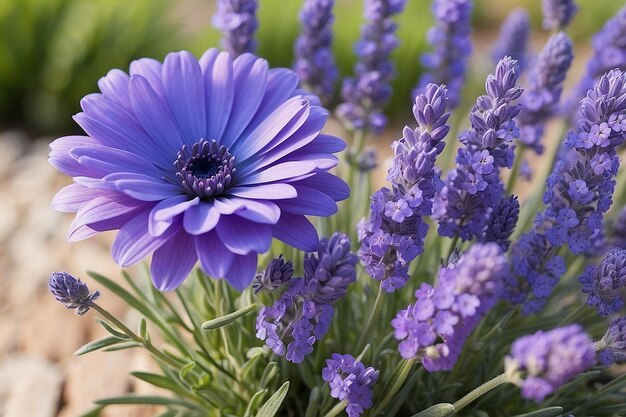 Purple and Blue Flowers with Lavender Bouquets