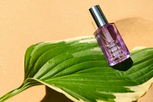 Purple bottle of moisturizing and nourishing skin care cosmetic product on a green leaf against sand color background