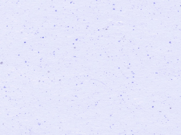 Purple color textured paper