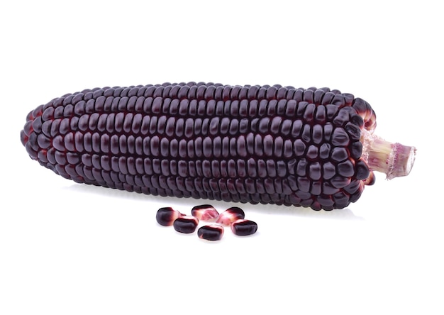 Purple corn isolated