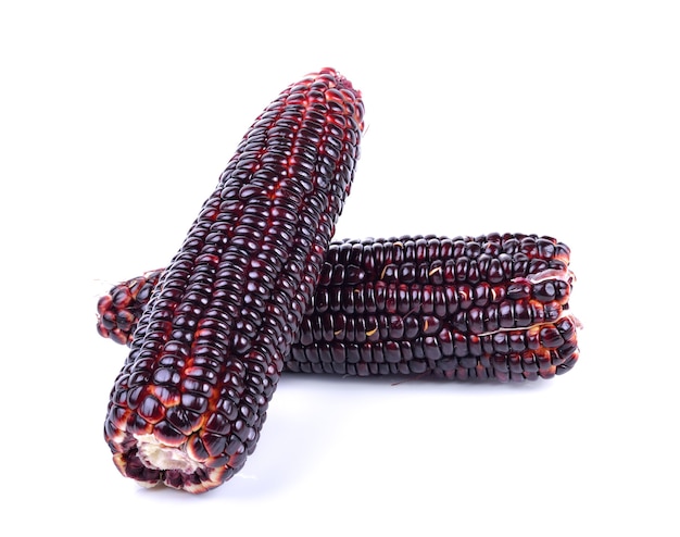 Purple corn on white