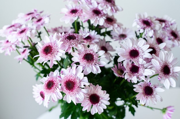 Purple daisies in a transparent vase on a grey background with space for your text