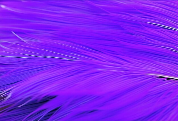 Photo purple feather texture pattern