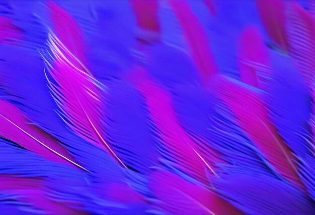 Photo purple feather texture pattern