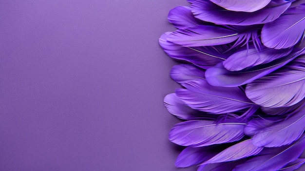 Photo purple feathers on a violet background