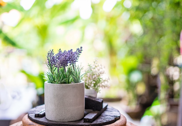 Purple flower in the pot on classic wood