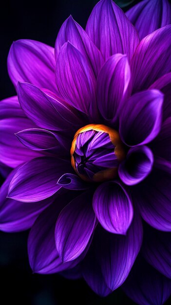 Photo purple flower with a gold ball on it