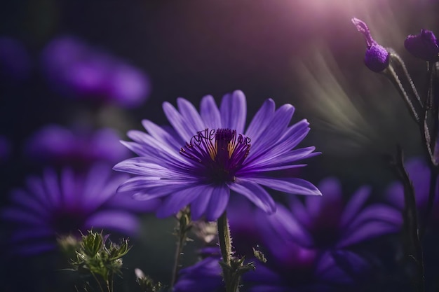 A purple flower with the word wild in the background