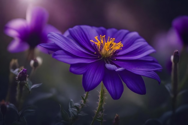 A purple flower with the word wild in the background