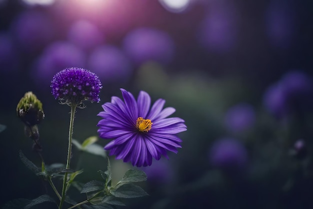 A purple flower with the word wild in the background